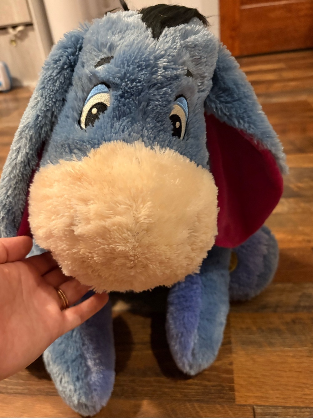 Disney 80th Anniversary Eeyore Plush Toy